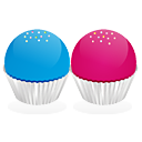 flickr icon