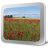 1 44 icon