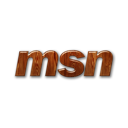 msn,logo,messenger icon