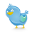 twitter,animal,bird,blue,social network,social,sn icon