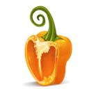 half, orange, pepper icon