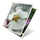 photos icon