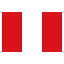 pe icon