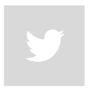 gray, square, twitter svg vector icon