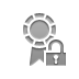 certificate,lock,open icon