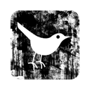 bird, square, twitter icon