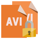 file,format,avi,lock icon
