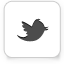 twitter icon