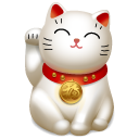 cat,animal icon