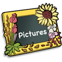 picture,photo,pic,image icon