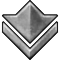 silver icon