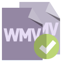 file,format,wmv,checkmark icon