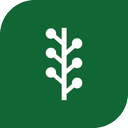news vine, newsvine, newsvine logo, slash dot, social media icon