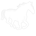adobe,premiere icon