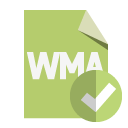 file,format,wma,checkmark icon