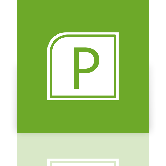 project,alt,mirror icon