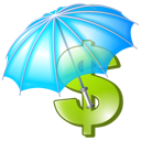 insurance icon