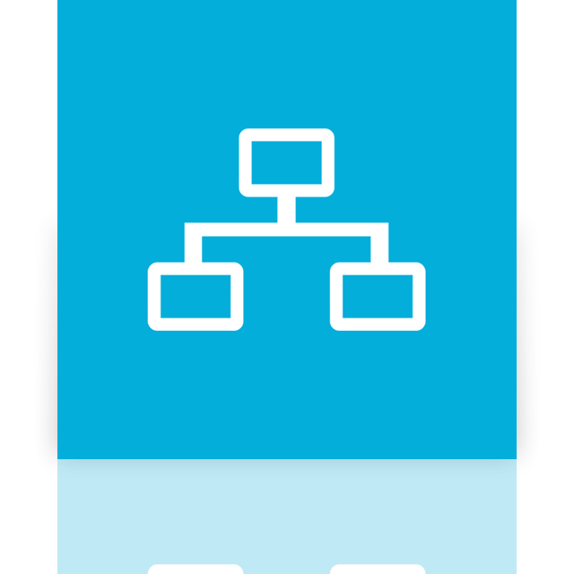 network,mirror icon