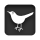 bird, twitter icon
