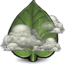 giant,leaf icon