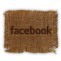facebook,social,social network,sn icon