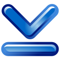 bottom icon