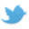 twitter icon