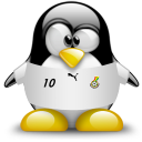 ghana,penguin,animal icon