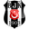 besiktas icon