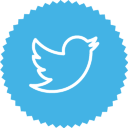 twitter icon