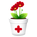 no, plant, shadwo icon