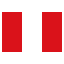 pe icon