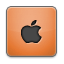 orange icon