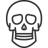 skull icon