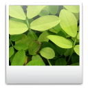 toolbar,image,pic,picture,photo icon