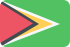 guyana icon