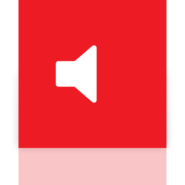 volume,mirror icon