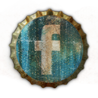 facebook,social,social network,sn icon
