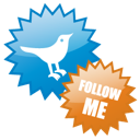 twitter,social network,social,sn icon