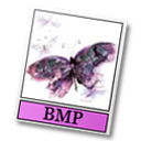 bmp icon