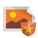 image,shield icon