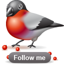 animal, bird, bullfinch, twitter icon