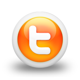 twitter,social network,social,sn icon