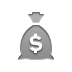 money,bag,dollar icon