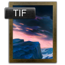 bronze icon
