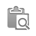 paste,zoom icon