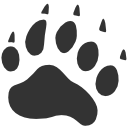bear icon