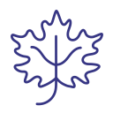 autumn, fall, leaf, maple svg vector icon