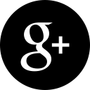 google svg vector icon