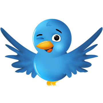 twitter,bird,animal,social network,social,sn icon